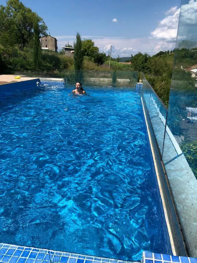Plazza Vizinada Leonardo Apartment Croatia