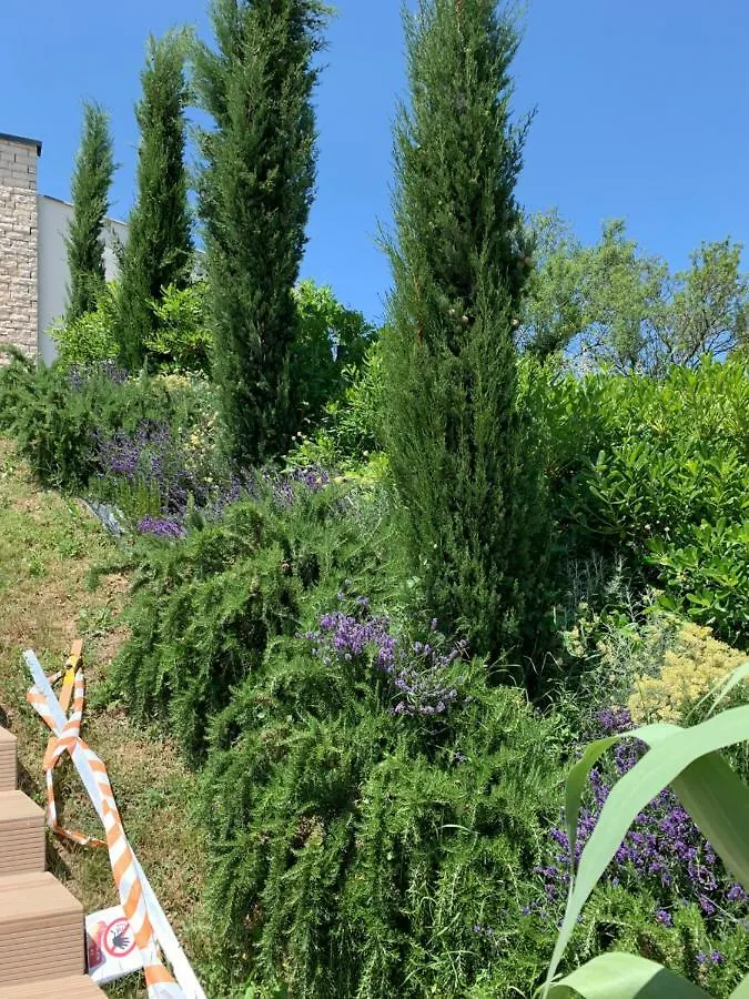 Plazza Vizinada Leonardo Apartment Croatia