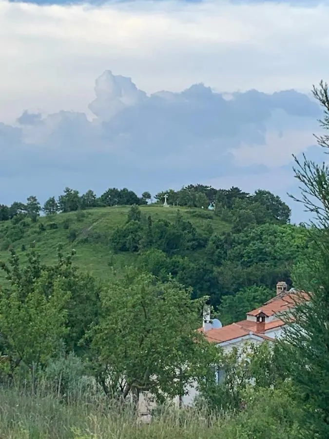 Plazza Vizinada Leonardo Apartment 0*,  Croatia